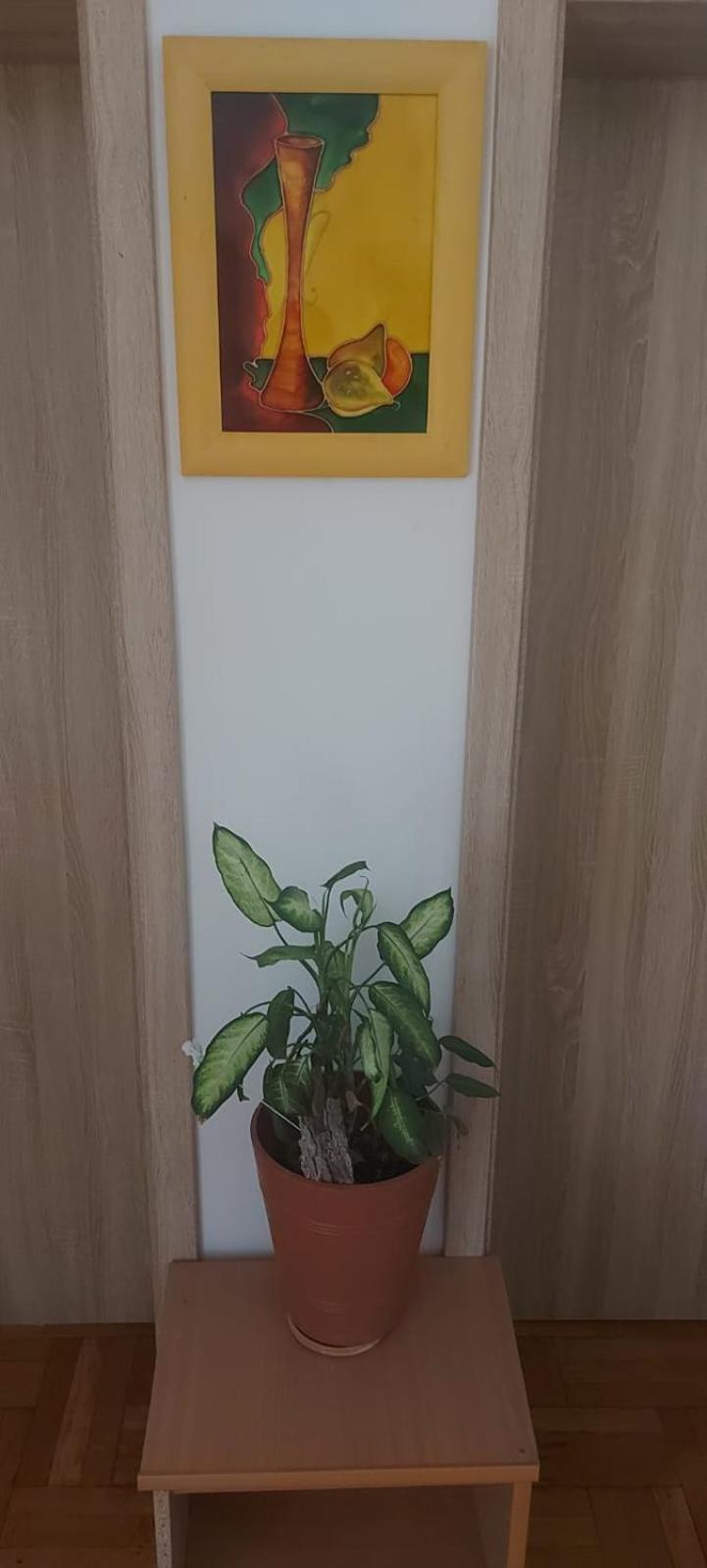 Hostel Poznań Extérieur photo